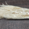 stabilizovana rastlina