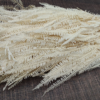 stabilizovana rastlina