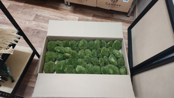 ball moss