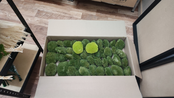ball moss