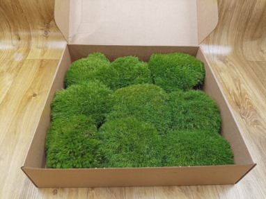 mood moss